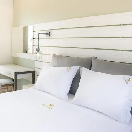 Apartahotel Oli Terra Skala Potamia (Thasos)